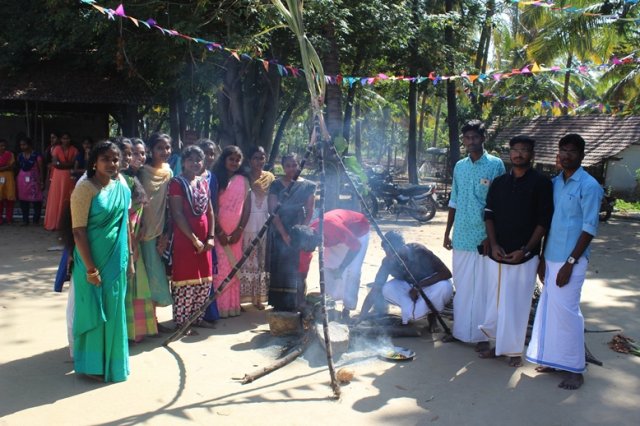 Pongal Vizha