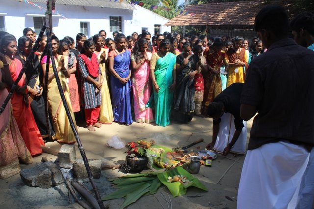 Pongal Vizha