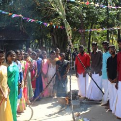 Pongal Vizha