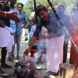 Pongal Vizha