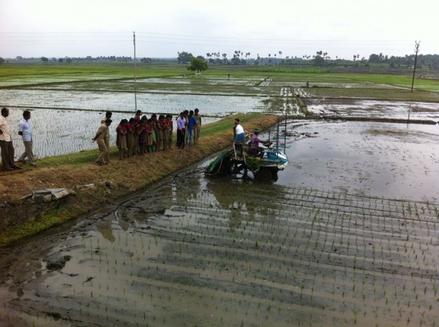 Crop Management